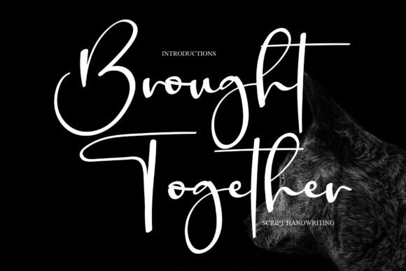 Brought Together: A Script Font Review for Campaign Designers