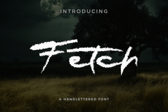 Fetch: A Handwritten Script Font for Editorial Design