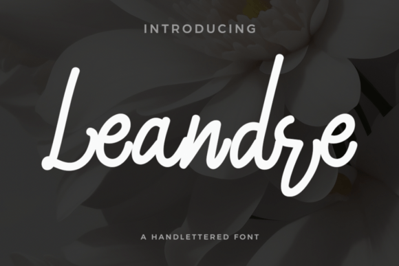 Leandre: A Handwritten Script Font for Authentic Brand Identity